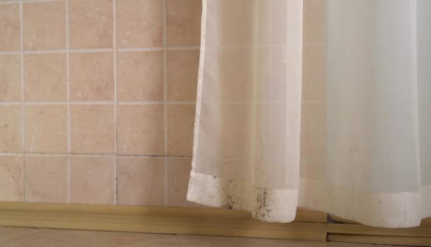 Best Asbestos and Lead Testing During Mold Inspection  in Juno Ridge, FL