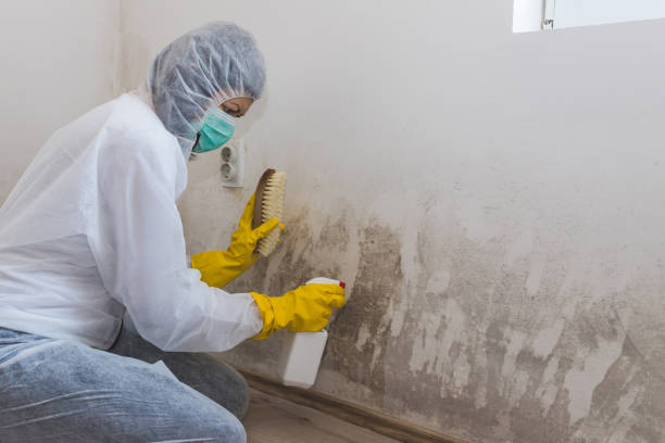 Best Crawl Space Mold Remediation  in Juno Ridge, FL