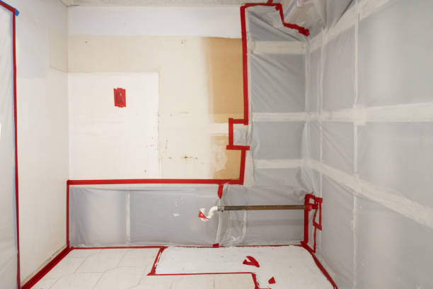 Best Mold Odor Removal Services  in Juno Ridge, FL