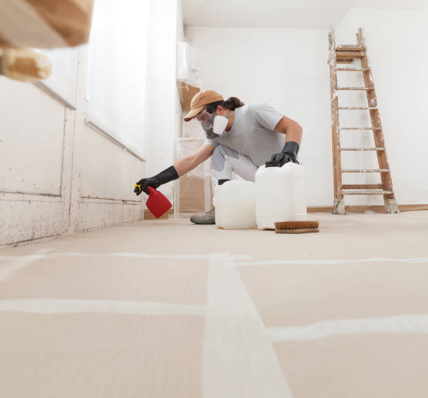 Best Mold-Related Health Consultation  in Juno Ridge, FL